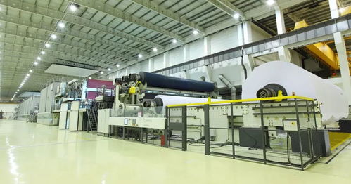 好品山东 晨鸣纸业，以“一张纸”的艺术与技术，书写绿色智造新篇章